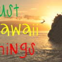 justhawaiithings-blog avatar