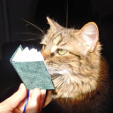 justhereforthepies avatar