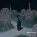 justhereintheworld avatar