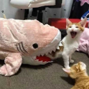 justheretosayrawr avatar