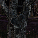 justhopelesslyhopeless avatar