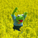 justin-isenia avatar