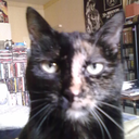 justin2252002 avatar