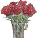 justingse1809-blog avatar