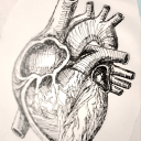 justkidneying avatar