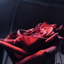 justkpopthingsman avatar