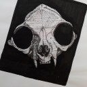 justlemmedrawnow avatar