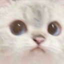 justlikeaghost avatar