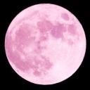 justlunarthoughts avatar