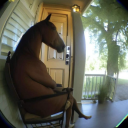 justmareingaround avatar