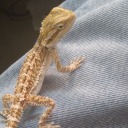 justme4u-blog2 avatar