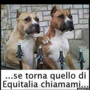 justmealec133 avatar