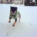 justmeandmyanxieties avatar