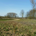 justmeandmymemes avatar