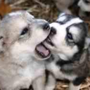 justmehere980 avatar