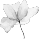 justmymindandstuff avatar