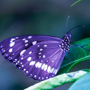 justmyownreblogs avatar