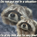 justonemoreraccoon avatar