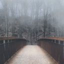 justsayyestolife avatar