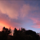 justsentientmeat avatar