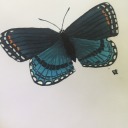 justseveralowls avatar