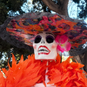 justsomegirltbh avatar