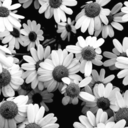 justtakeitallin-blog avatar