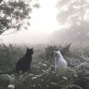 justthatpersonalex avatar