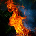 justthestuffoflife avatar