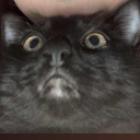 justyouraverageeldritchjester avatar