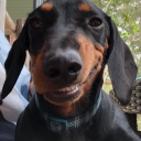 juuliuscaesar1 avatar