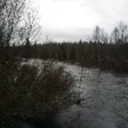 juuliusceasar avatar