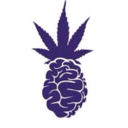 jzkb808-blog-blog avatar