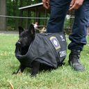k-911 avatar