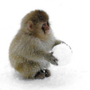 k-i-d-d-w-a-y avatar