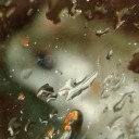 k1ng-of-the-worms avatar