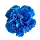 k4zuhas-visi0n avatar