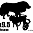 k95rescue avatar