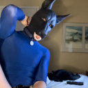 k9slavedog avatar