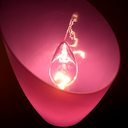 kabochakitsune avatar