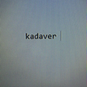 kadaver avatar
