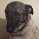 kadermahkumu28 avatar