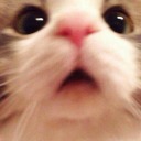 kafamagore1blog avatar