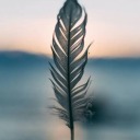 kafamgzl-blog1 avatar