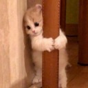 kafaminicindeuzaylivar avatar