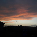 kafestekiguvercin avatar