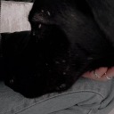 kahpelereinatguluyorum avatar