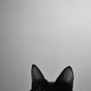 kahvaltikulubu avatar