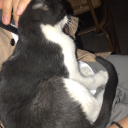 kahvesizsizofren avatar