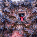 kahvesizyasayamayaninsan avatar